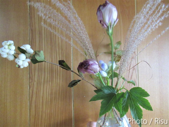 プロ直伝 花瓶に花を美しく生けるポイント こだわ栗鼠のweb道具箱